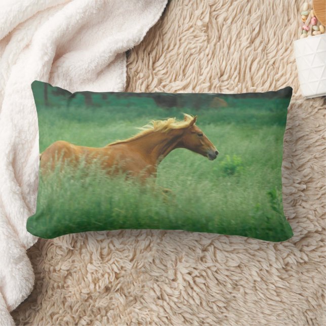 Cojín Lumbar Young Stallion Runs Through Meadow (Manta)