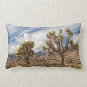 Cojín Lumbar Yucas en desierto