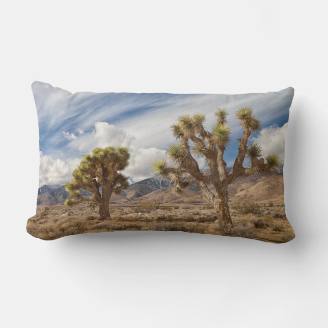 Cojín Lumbar Yucas en desierto (Anverso)