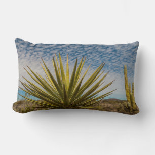 Cojín Lumbar Yucca en el desierto, México