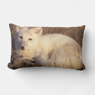 Cojín Lumbar zorro ártico, laguna alopex