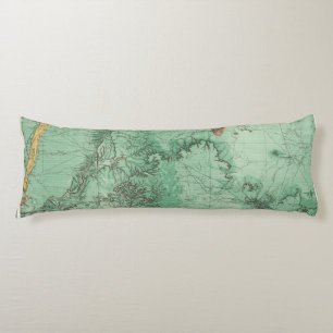 Cojín Mapa de la clasificación de tierra de New México