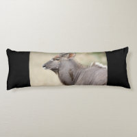 Nyala con pájaro toro