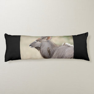 Cojín Nyala con pájaro toro