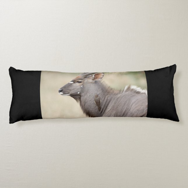 Cojín Nyala con pájaro toro (Reverso)