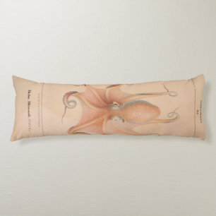 Cojín Octopus vintage 1851 Eledon Aldrovandi