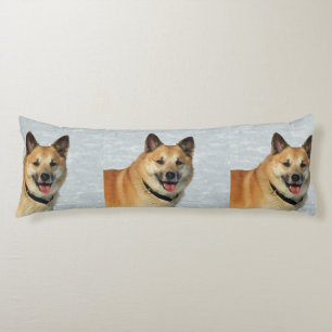 Cojín Oveja islandesa20150904