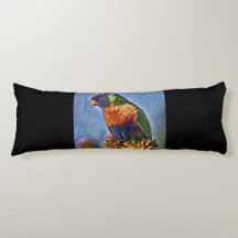 Pájaro lorikeet parrot