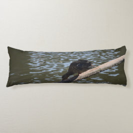 Cojín Pato sediento