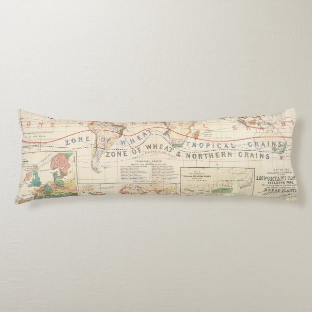 Cojín Plantas de la distribución (Anverso)