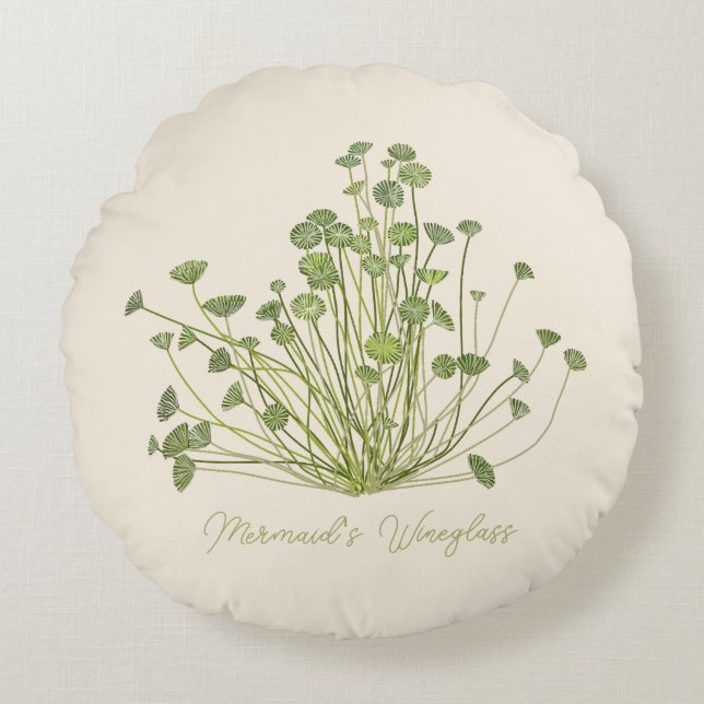 Cojín Redondo Acetabularia Seaweed dibujado mano (Anverso)