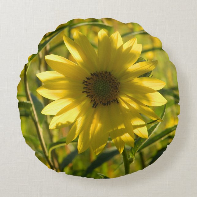 Cojín Redondo Almohadilla brillante giratoria (Anverso)