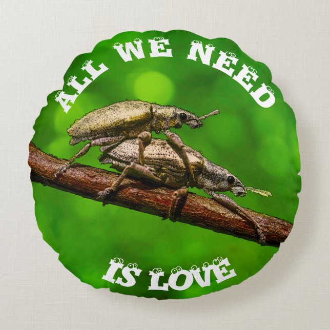 Cojín Redondo Amantes del insecto en la rama divertida (Anverso)