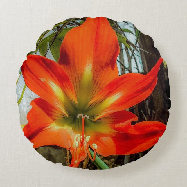 Cojín Redondo Amaryllis Closeup Round Pillow  (Anverso)