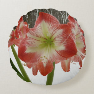 Cojín Redondo Amaryllis en floral de invierno en la nieve roja f