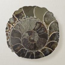 Amber Crystal Nautilus Shell Pillow