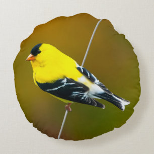 Cojín Redondo American Goldfinch - Fotografía original