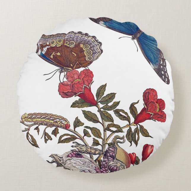 Cojín Redondo Amortiguadores de las mariposas de Maria Merian (Anverso)