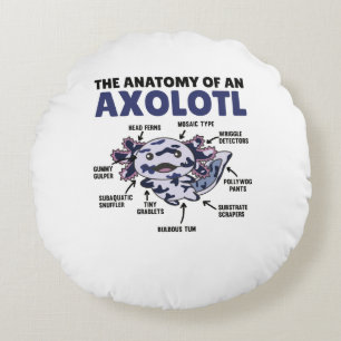 Cojín Redondo Anatomía De Explicación Del Mosaico Axolotl De Un 