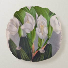 Cojín Redondo Anguloa Uniflora Lindenia