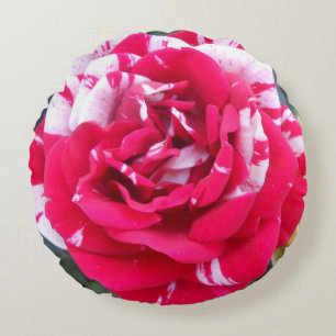 Cojín Redondo Anicia