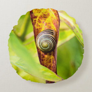 Cojín Redondo apego