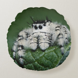 Cojín Redondo Araña Saltarina Metaphid