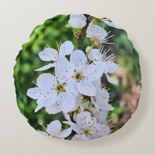 Cojín Redondo Árbol en Flor en Primavera Rumania – Fotografía de