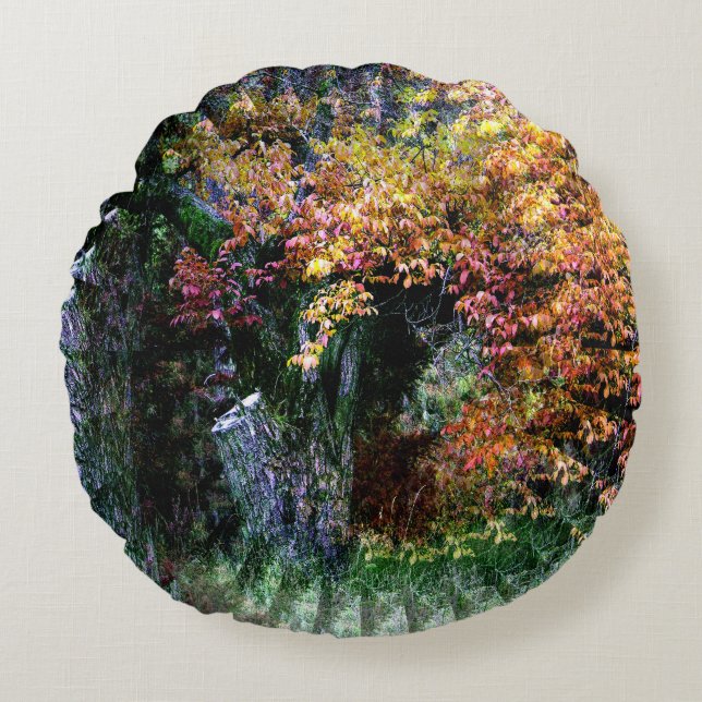 Cojín Redondo Árbol viejo de roble...... (Anverso)