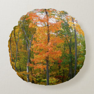 Cojín Redondo Árboles de Arce de Otoño Fotografía de la Naturale