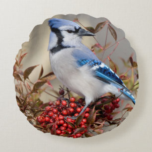 Cojín Redondo Arrendajo azul en Bambú celestial Nandina