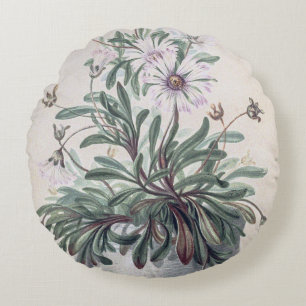 Cojín Redondo Asters de época en una olla