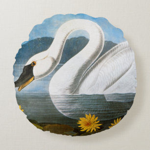 Cojín Redondo Audubon: Cisne común