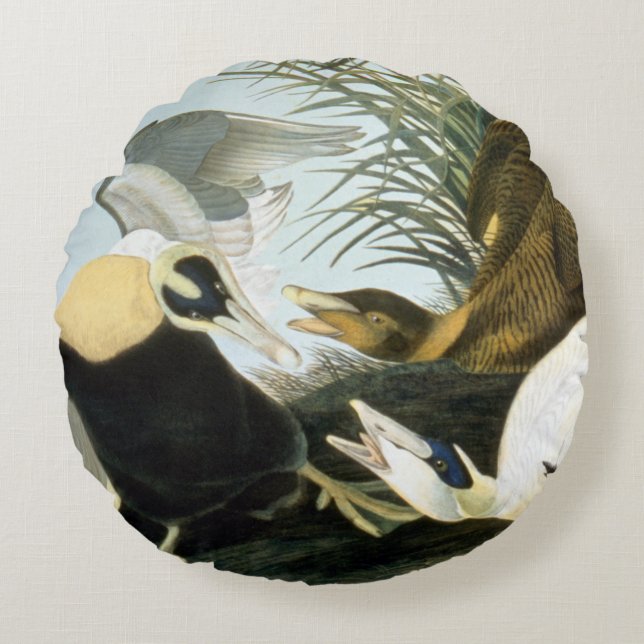 Cojín Redondo Audubon: Pato de eíder (Anverso)