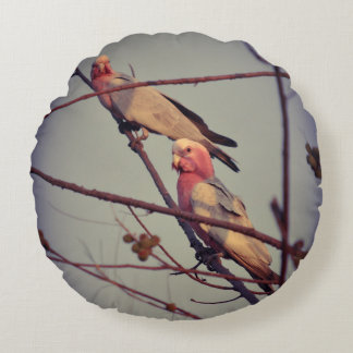 Cojín Redondo Aves de Galah en el árbol 1