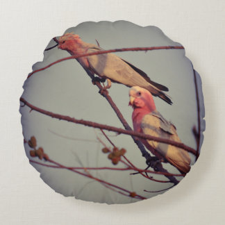 Cojín Redondo Aves de Galah en el árbol 2