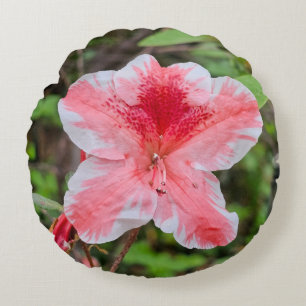 Cojín Redondo Azalea Ben Morrison (Rhododendron 'Ben Morrison')