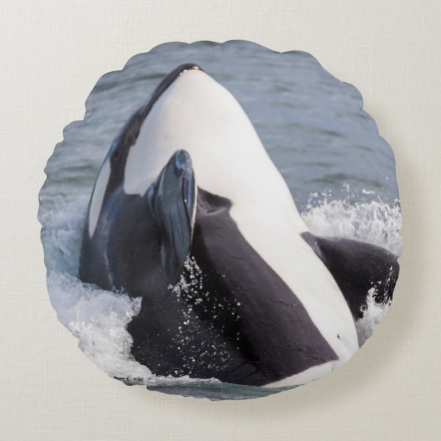 Cojín Redondo Ballena orca saltando (Anverso)