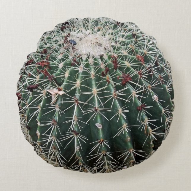 Cojín Redondo Barrel Cactus Planta Desierta de Diseño Suroeste (Anverso)