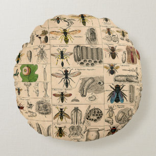 Cojín Redondo Bee Insect Bug Wasp Abejas de Historia Natural