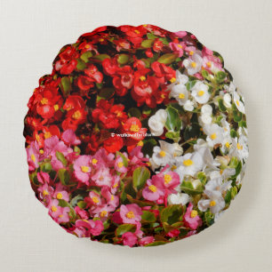 Cojín Redondo Begonias de cera colorida