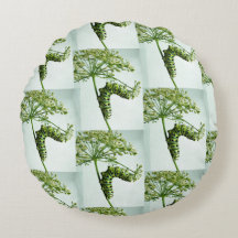 Black Swallowtail Caterpillar parsante