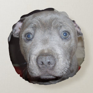 Cojín Redondo Blue Staffordshire Bull Terrier Puppy,
