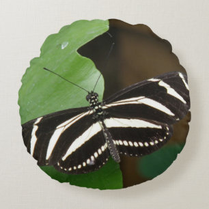 Cojín Redondo Bonito Zebra Longwing Butfly Pillow