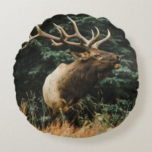 COJÍN REDONDO BROWN DEER ON GREEN GRASS DURANTE EL DÍA