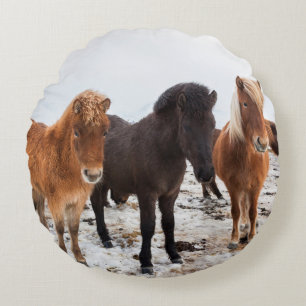 Cojín Redondo Caballo islandés durante el invierno en Islandia