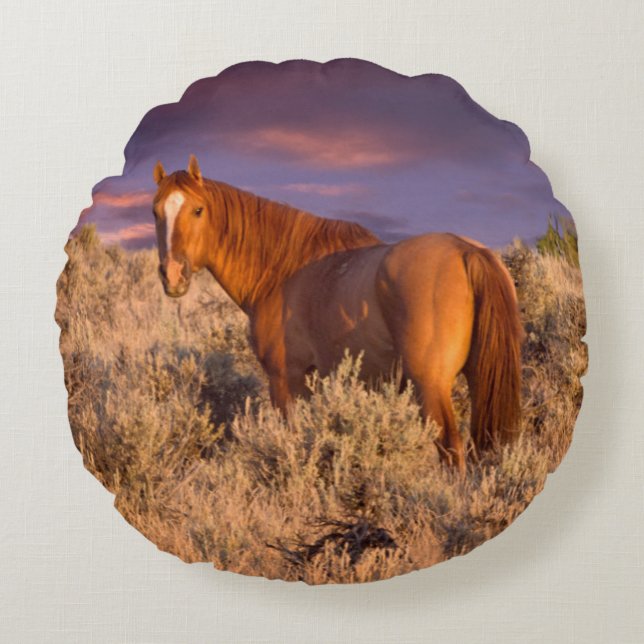 Cojín Redondo Caballo salvaje del condado de Harney permanece al (Anverso)