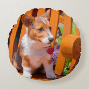Cojín Redondo cachorro de Pembroke Welsh Corgi sentado en un ban