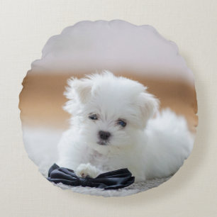 Cojín Redondo Cachorro maltés blanco