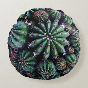 Cojín Redondo Cactus Planta de Interior: Diseño Hermoso de Viver